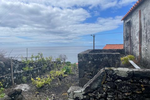 Ruinere i Lajes do Pico, Pico, Lajes do Pico - € 85.000 | Ref: 374240054 - foto 9
